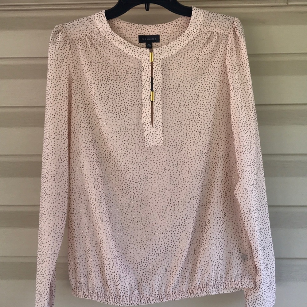 Super cute sheer pink The limited blouse Med